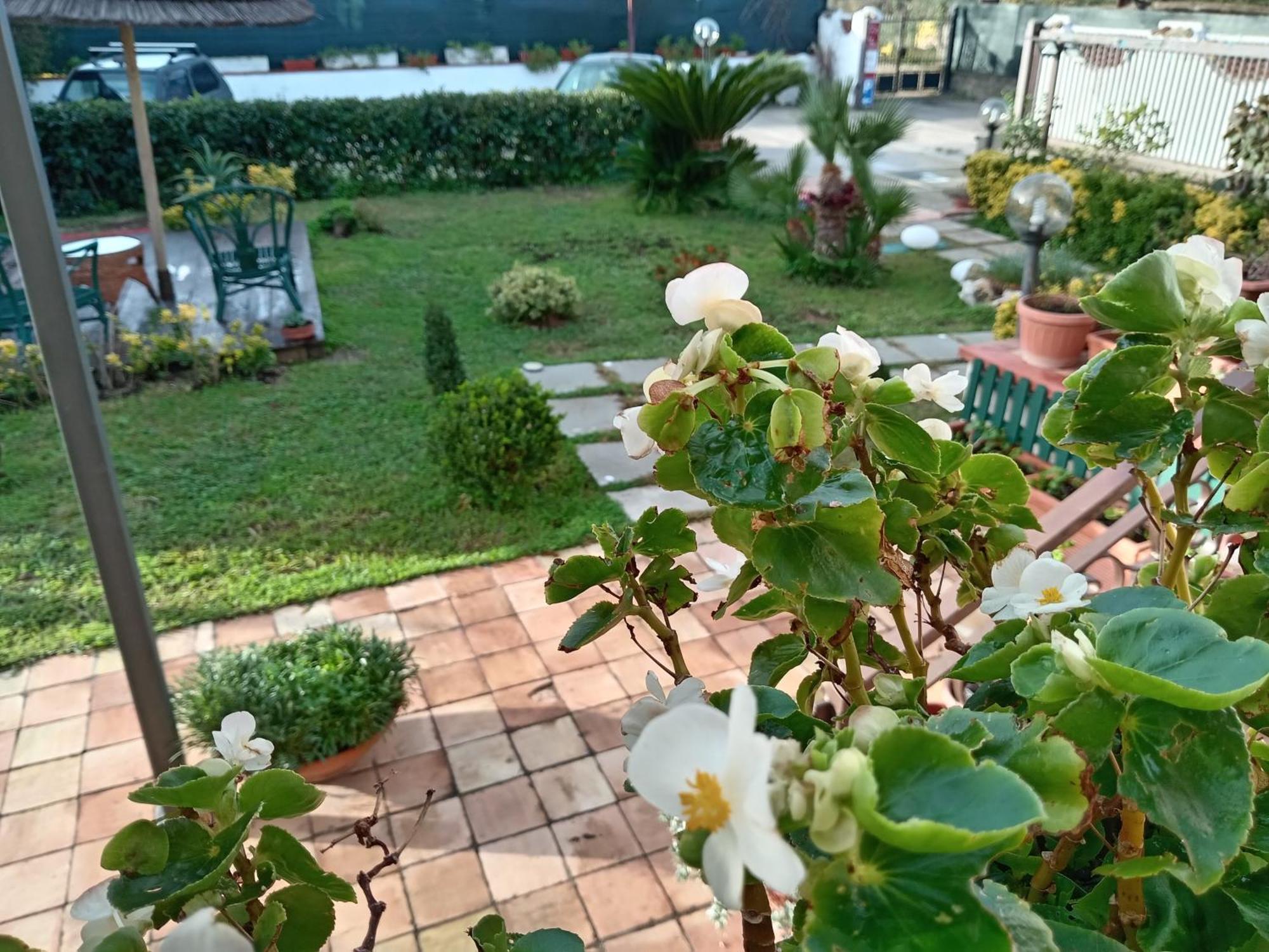Villamariascauri *